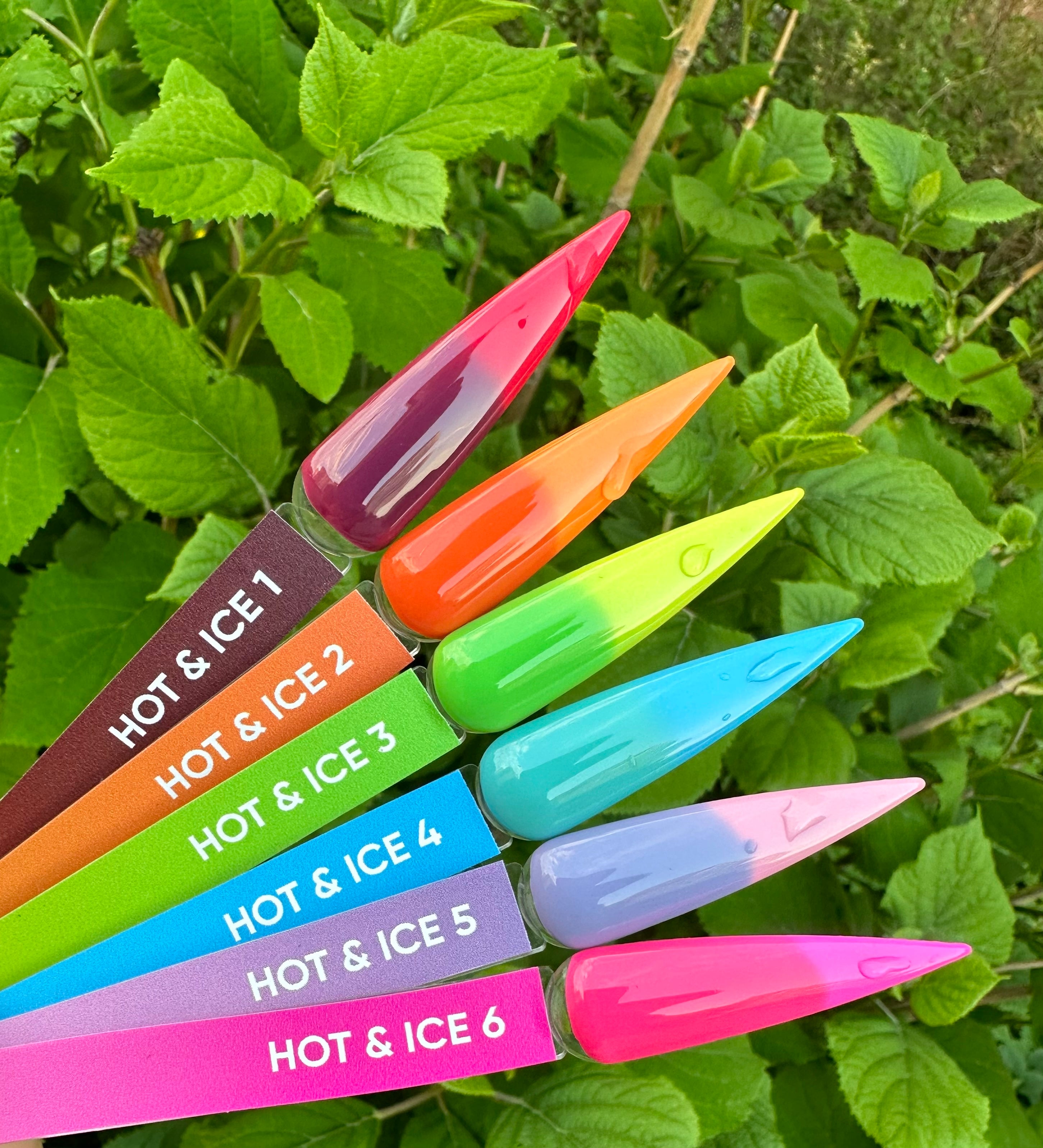 COLOR HOT&ICE #2 11ml- HOLY MOLLY