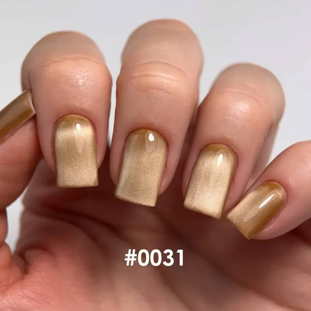 DNKa Cat Eye Silk #0031 12ml professional magnetic gel polish for nails