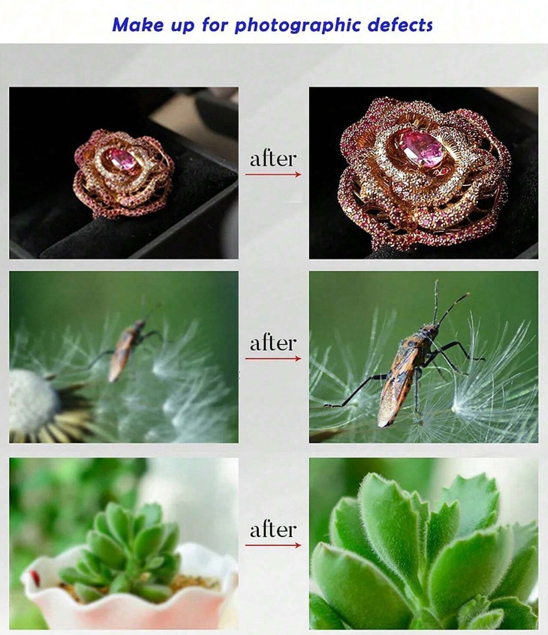 Macro Lens 0.45X (Rose Red)