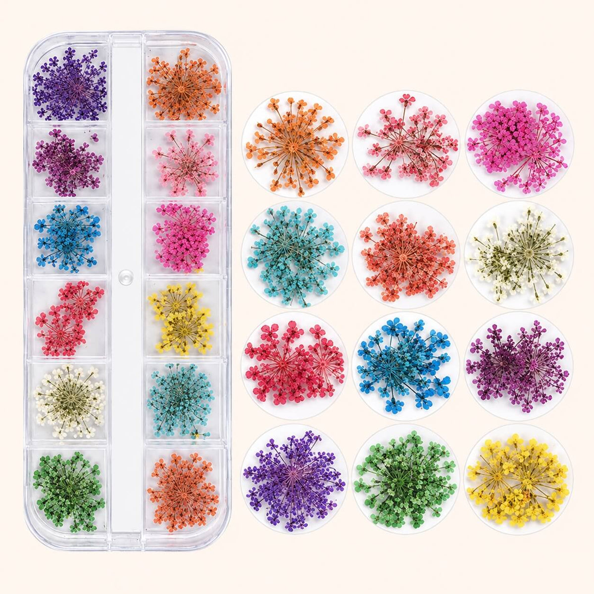 Set of dried nail art flowers in purple, blue, teal, pink, red, orange, yellow, green and cream