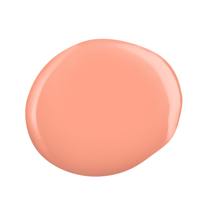 Kinetics SHIELD #315 PRIMA