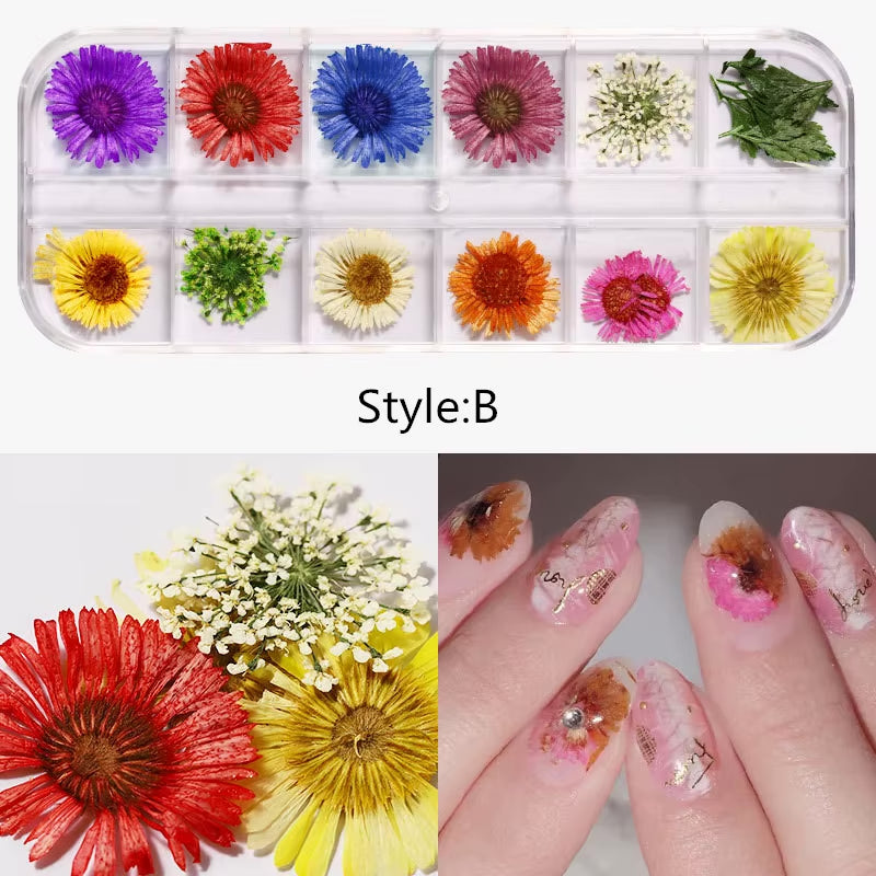 MIX DRIED FLOWERS FOR NAIL ART DESIGN #B