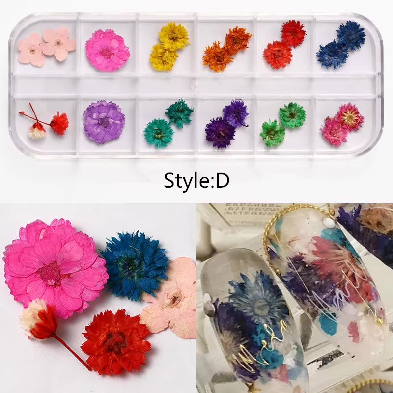 MIX DRIED FLOWERS FOR NAIL ART DESIGN #D