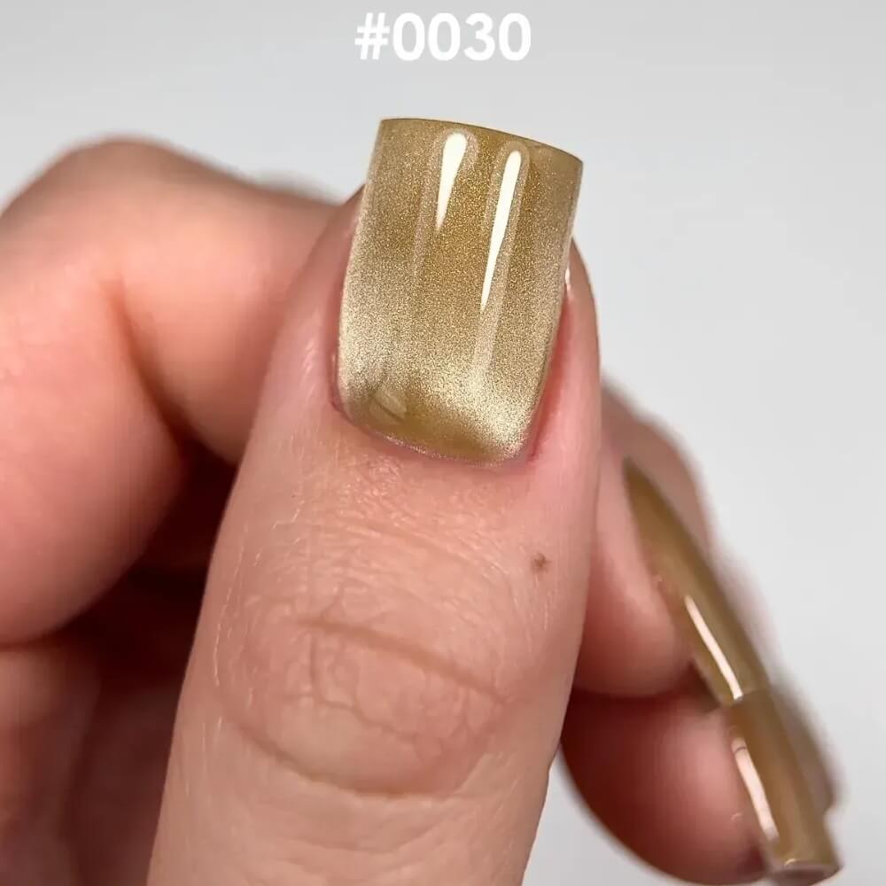 DNKa cat eye gel polish 0030 Silk
