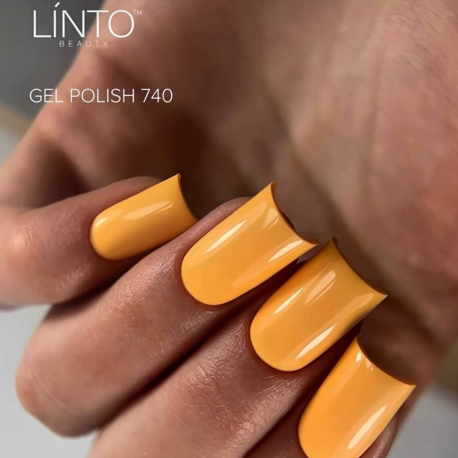 LiNTO professional gel polish #740