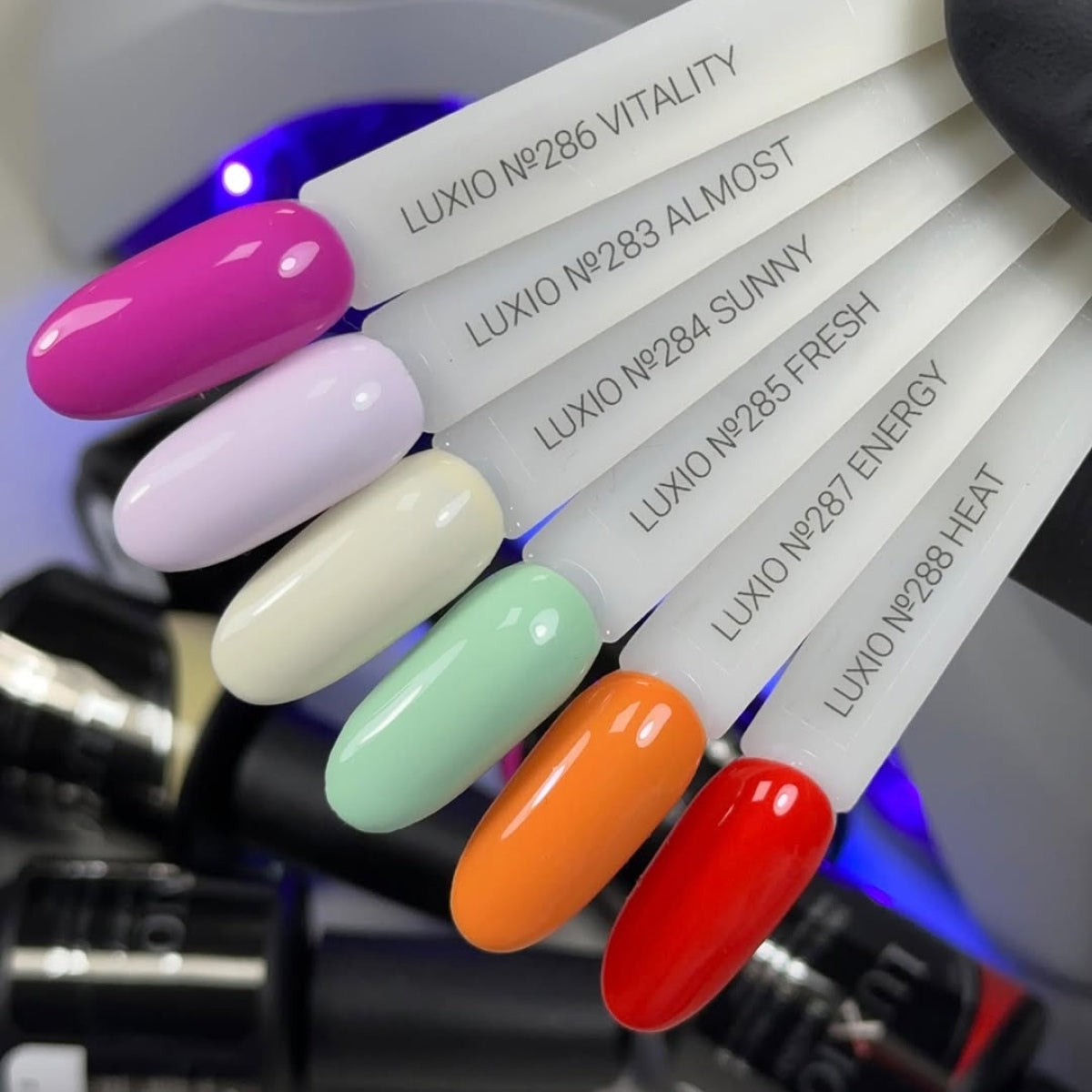 Luxio by Akzentz - Late Checkout S/S 2026 Collection