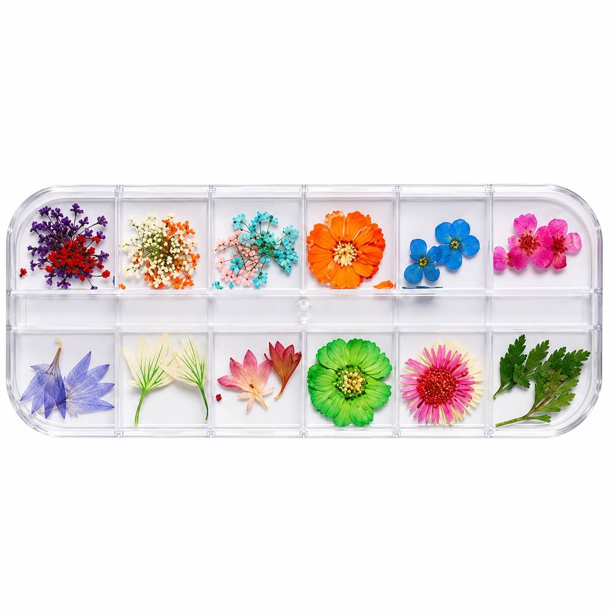 Assorted dried flowers in orange, blue, pink, green and cream for nail decoration