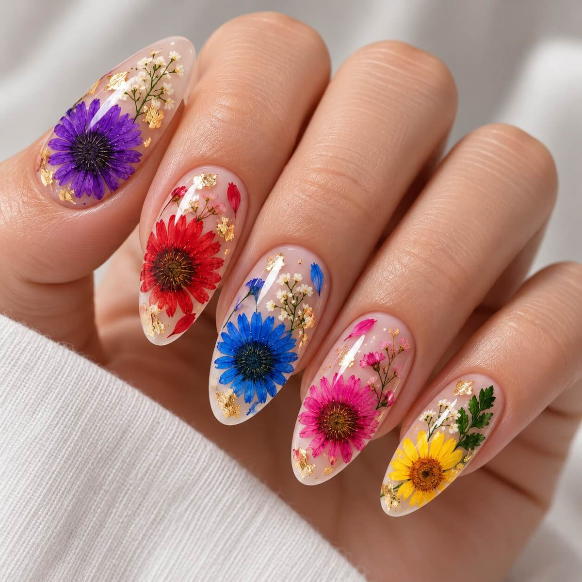 Clear case of purple, red, blue, yellow and orange dried daisies for nail art