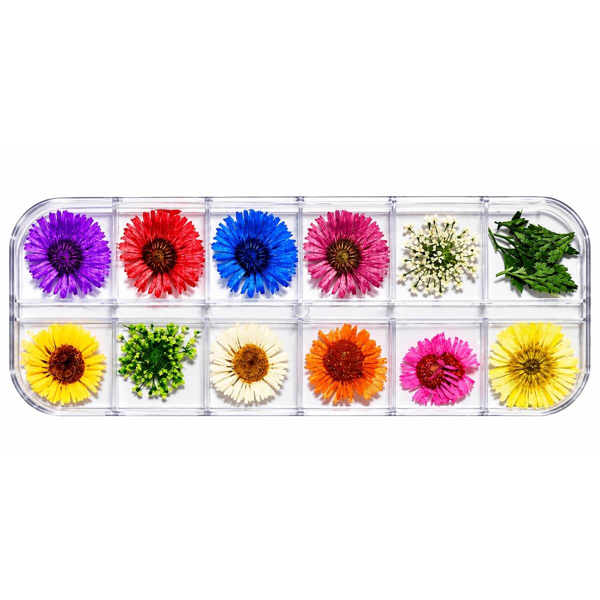 Mix dried flowers for nail art design #B in a 12-compartment case