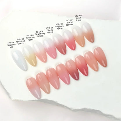 The Perfect Blend professional ombre nail kit with eight pre-soaked cushion gels