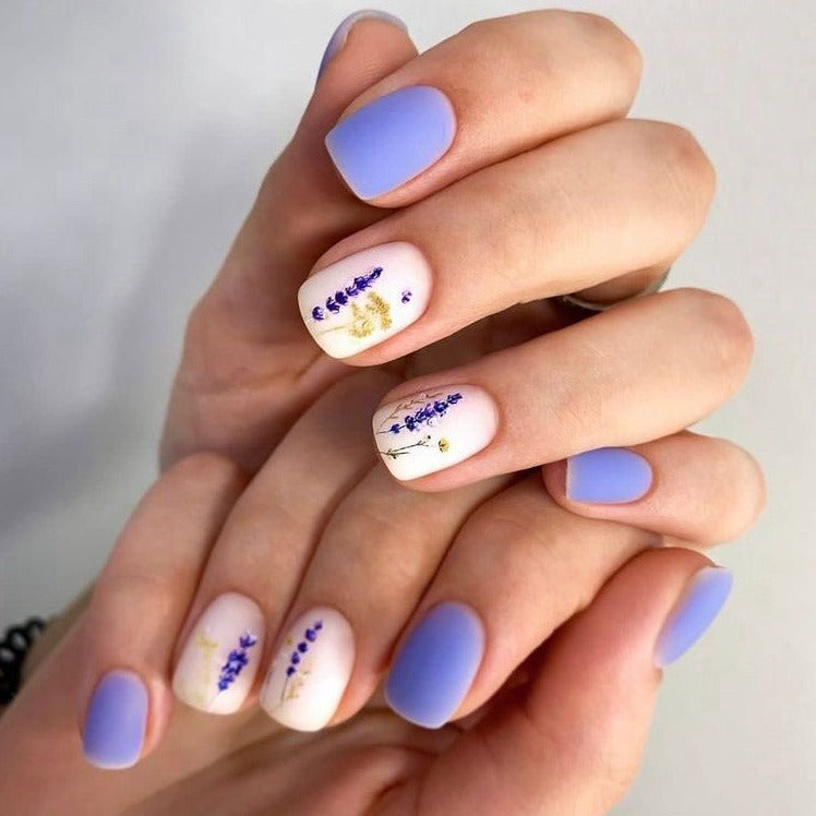 HOLY MOLLY Base Color #6, 15ml