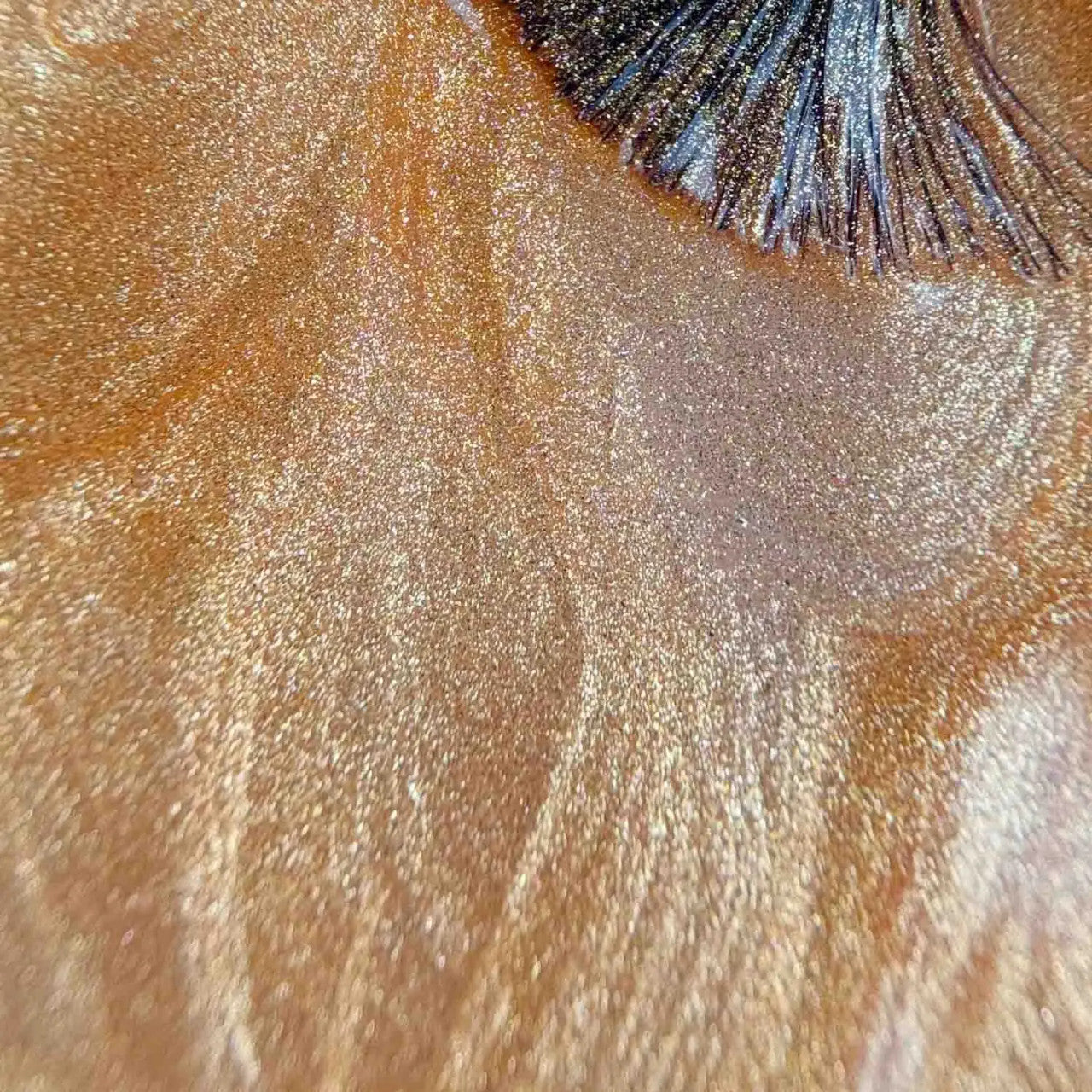 The GelBottle Rush Cat Eye, 20ml